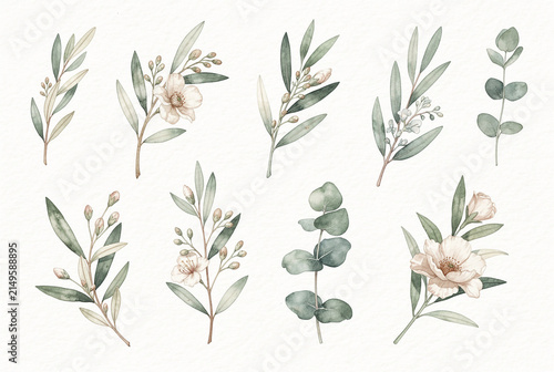 Elegant Botanical Watercolor Branches and Twigs Hand-Painted Collection
