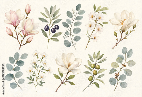 Elegant Botanical Watercolor Branches and Twigs Hand-Painted Collection
