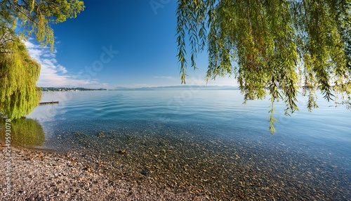 Calm Shore Of Lake Constance At Mackelfinger Winkel Near Radolfzell With Willow Branches And Gravel Beach On A Sunny Summer Day