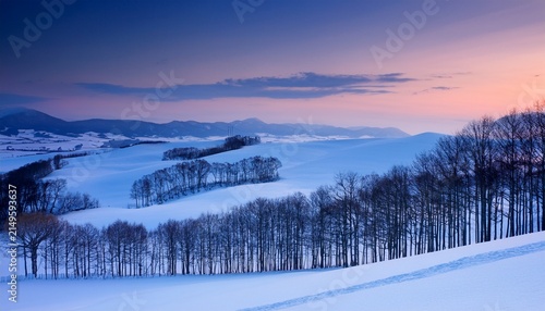 Snow Covered Winter Landscape In Biei Hokkaido At Twilight With Bare Trees And Rolling Hills