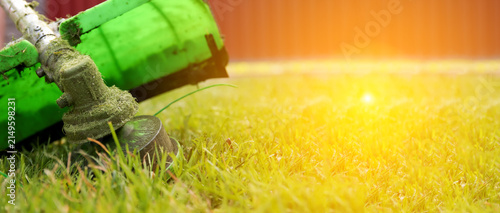 фотографія Close-up of a green grass trimmer cutting grass in a sunny backyard