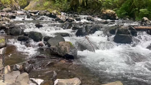 Creek and rocks - Columbia River Gorge, Oregon
