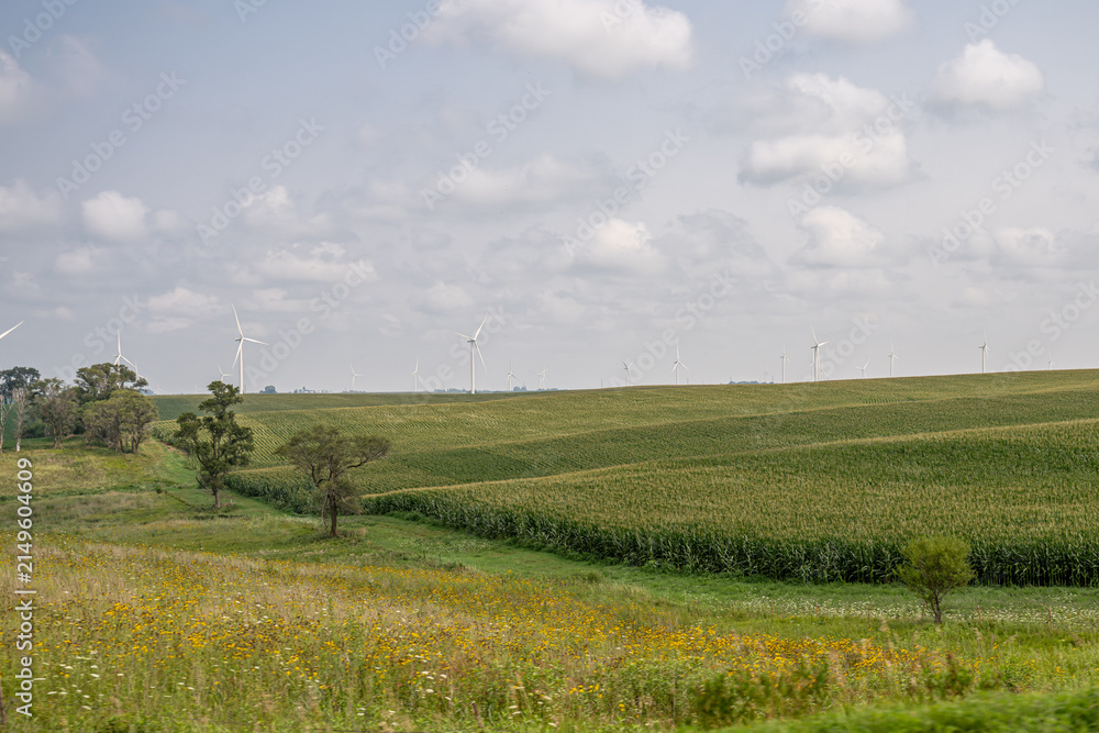 Fototapeta premium iowa countryside