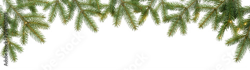Christmas pine branches border with lights isolated on white background.