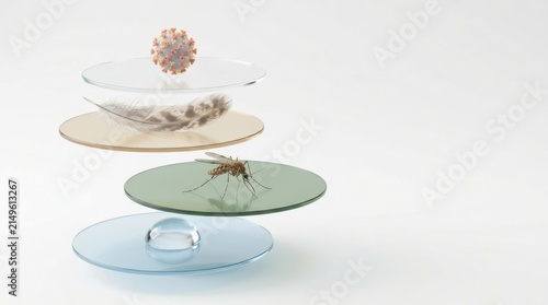 West Nile Virus conceptual illustration with mosquito and virus particle on glass platforms