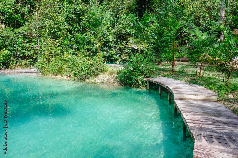 Naklejka premium beautiful crystal clear natural pool in Presidente Figueiredo, Amazonas, Brazil