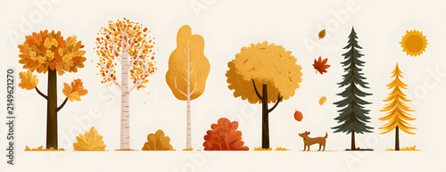 a collection of vector illustrations depicting autumn trees and shrubs, including an oak, birch, aspen, linden, fir, sun, and dog