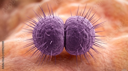 Microscopic 3D rendering of purple spiked bacteria cells