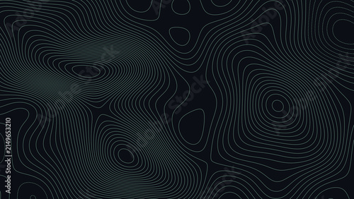 Everglades National Park Florida Topographic Elevation Map Vector Background