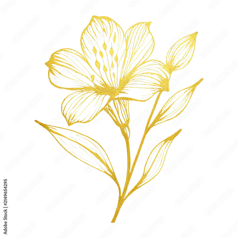 Obraz premium PNG Elegant golden floral illustration