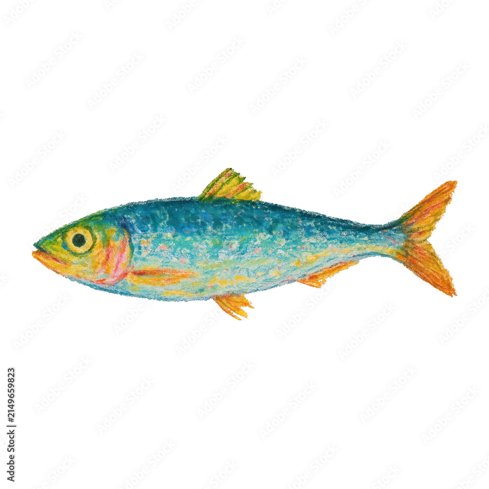 Fototapeta premium PNG Colorful fish illustration art