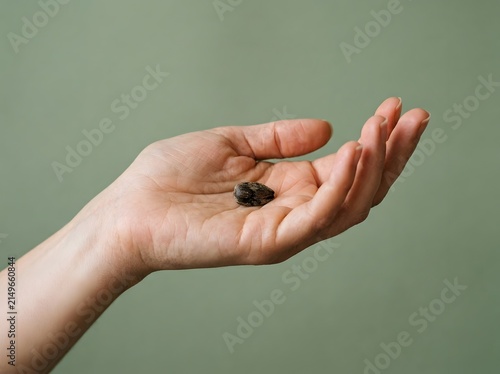 Single seed resting in an open palm, patience concept
