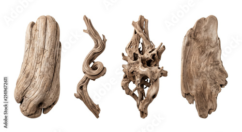 Set of natural weathered driftwood and rustic wood pieces