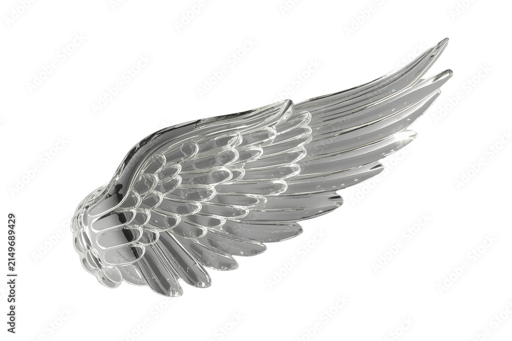 Obraz premium Large silver decorative feather wing isolated