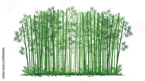 Dense Bamboo Forest Illustration Isolated on White Background