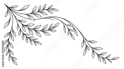 Foto Elegant hand drawn botanical corner flourish with delicate leaves and vines
