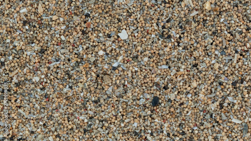 natural background of coarse sandy beach grains and tiny seashell fragments on tropical coast