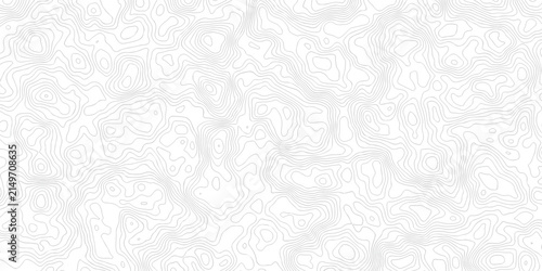 Fotografía Abstract grid landscape topography white background