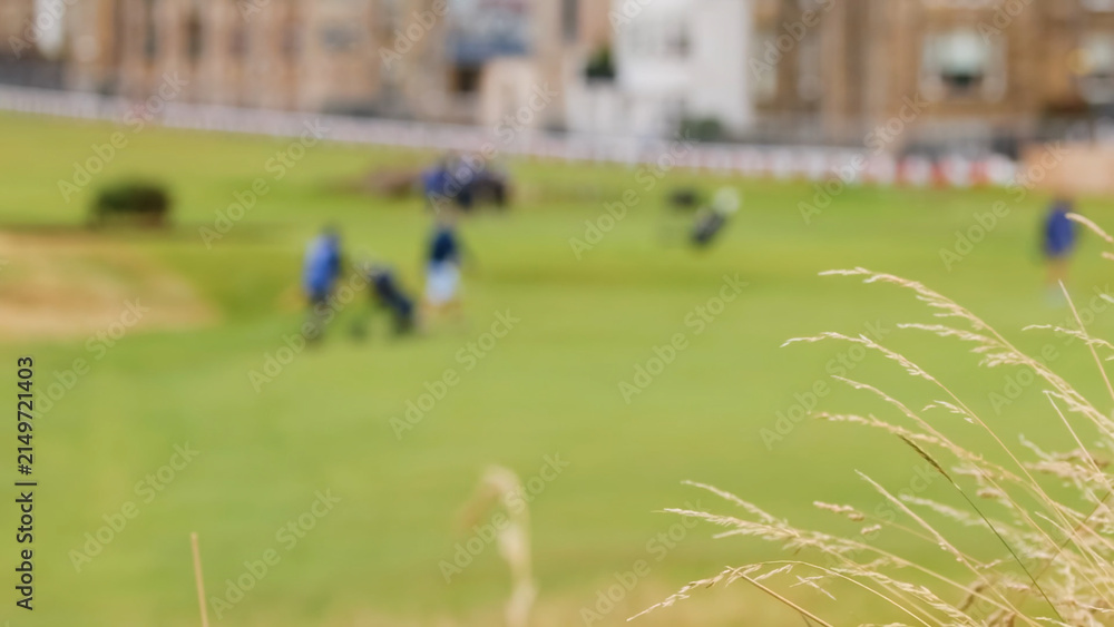 Naklejka premium Blurred Golfers on Green with Tall Grass in Foreground