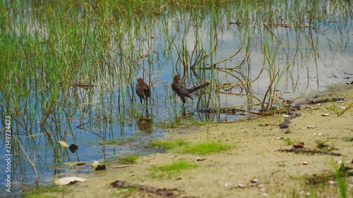 landscape of Lake Wales is a historic city in Polk County, Florida, highest point of Florida
