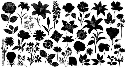 Collection of black flower silhouettes on white background with silhouettes varying shapes diverse collection shapes sizes illustration botanical