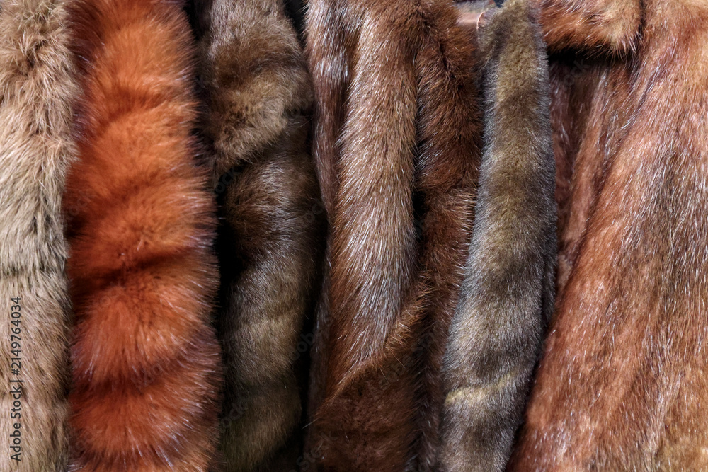 Naklejka premium Assorted luxurious real fur coats hanging closely together in a row creating a textured soft brown and red winter fashion background. Textured background or textile material pattern