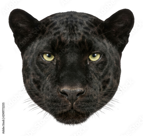 Intense black panther head-on portrait with vibrant green eyes and textured fur isolated transparent background image