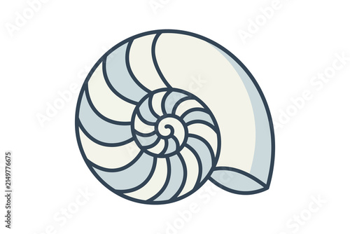 фотографія Nautilus Seashell Flat Vector Illustration