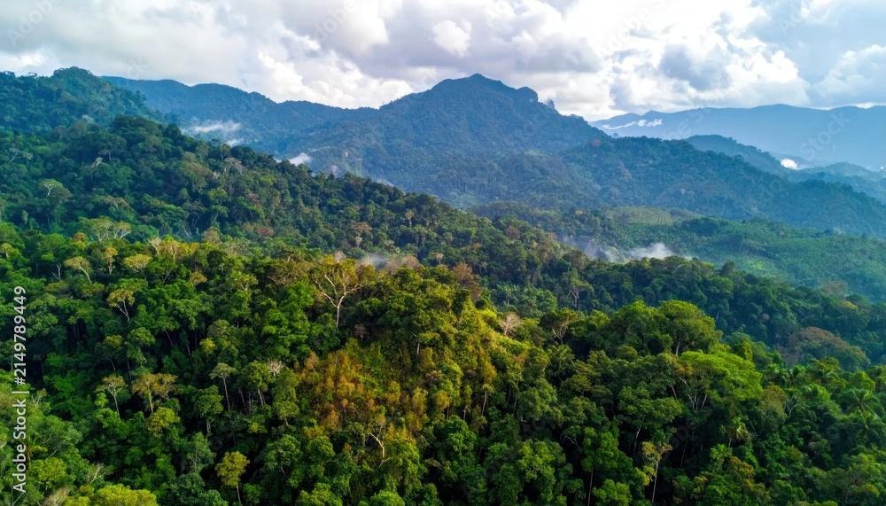 Obraz premium Wide mountain range covered in dense tropical green forest.