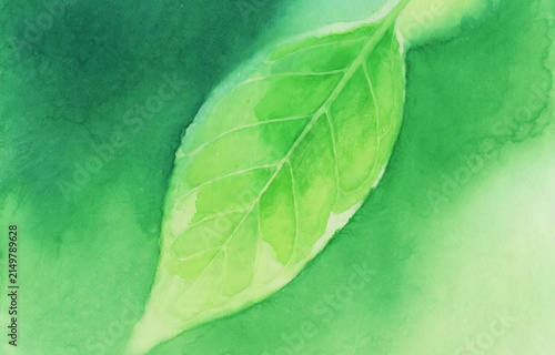 Beautiful green leaves growing perfectly