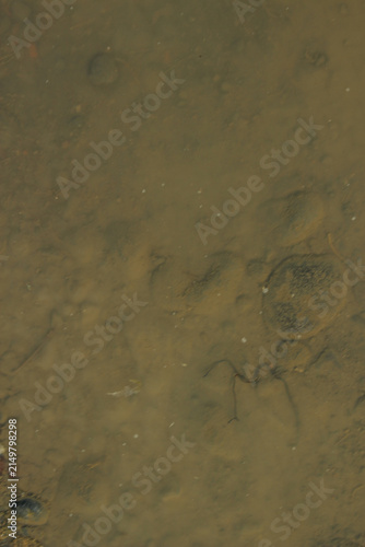 Photography Top view of shallow murky water with muddy bottom and sediment