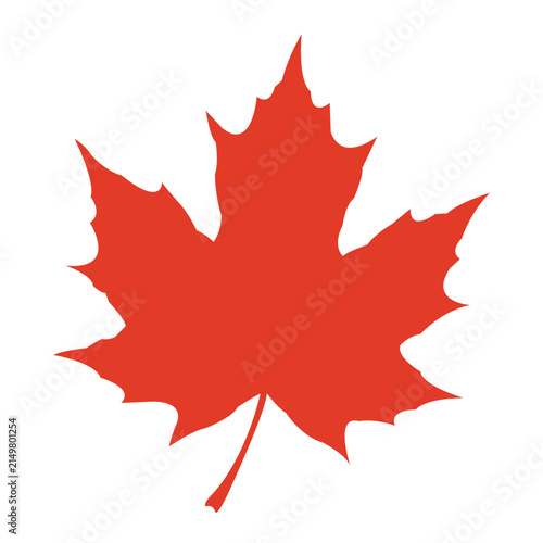 Red Maple Leaf Illustration