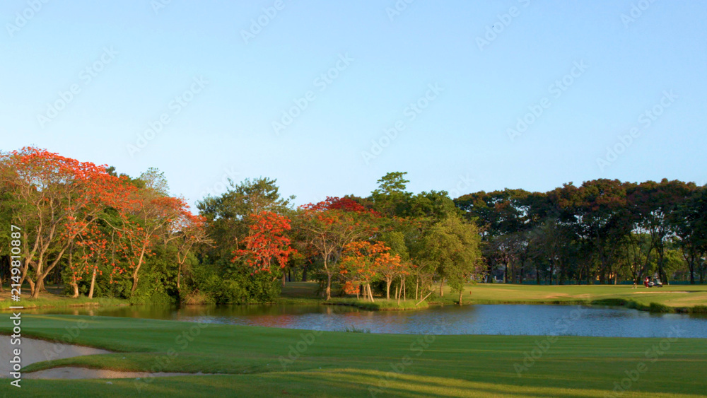 Fototapeta premium Lush Tropical Golf Course with Water Hazard and Flowering Trees