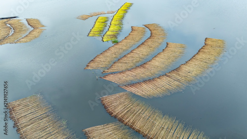 Jute bundles float on Bortir Bil in rural India, reflecting traditional livelihoods and sustainable agriculture. Jute, a natural biodegradable fiber, offers an eco-friendly alternative to plastic. 