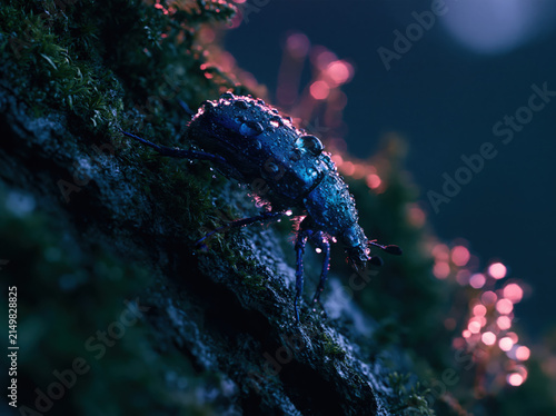 Ultra cinematic macro photograph of a beetle walking on moss-covered bark after rain, droplets clinging to its shell, dramatic side lighting, shallow focus, documentary wildlife photography style. 