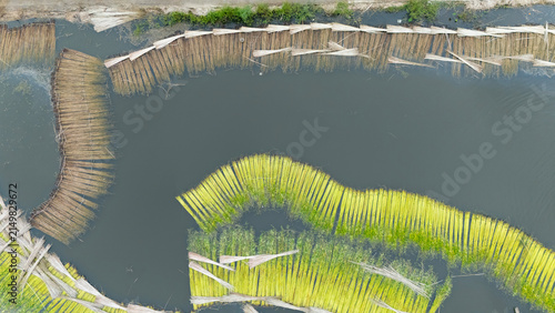 Jute bundles float on Bortir Bil in rural India, reflecting traditional livelihoods and sustainable agriculture. Jute, a natural biodegradable fiber, offers an eco-friendly alternative to plastic. 