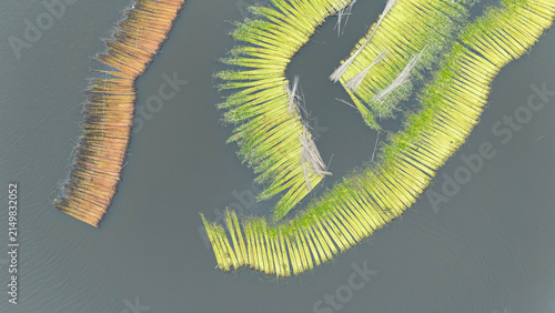 Jute bundles float on Bortir Bil in rural India, reflecting traditional livelihoods and sustainable agriculture. Jute, a natural biodegradable fiber, offers an eco-friendly alternative to plastic. 