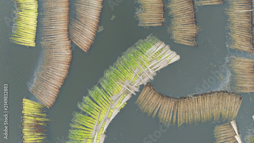 Jute bundles float on Bortir Bil in rural India, reflecting traditional livelihoods and sustainable agriculture. Jute, a natural biodegradable fiber, offers an eco-friendly alternative to plastic. 