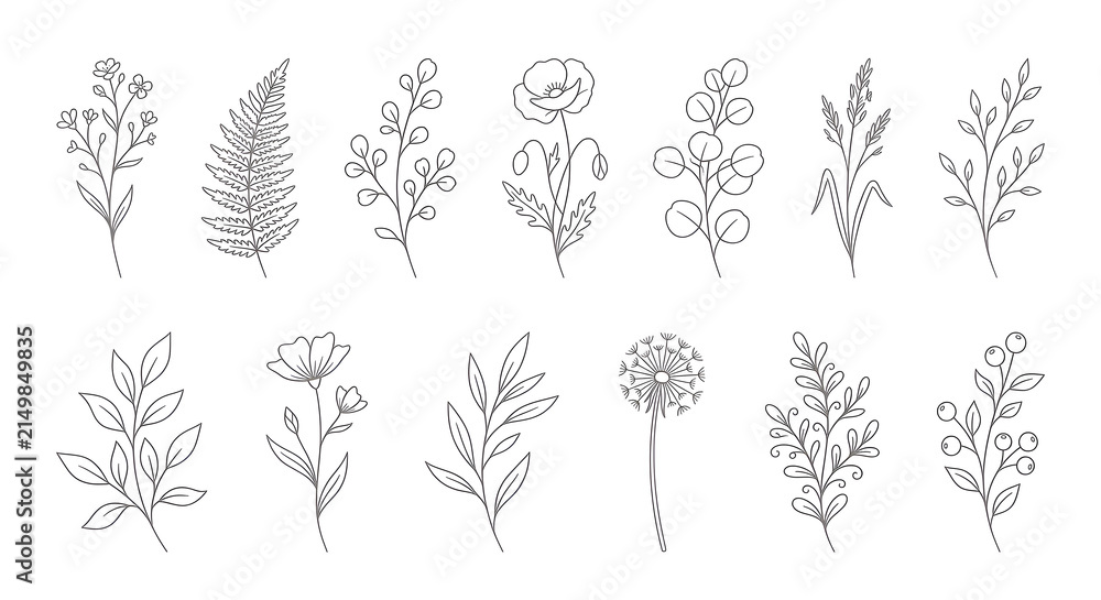 Fototapeta premium Minimalist Floral Elements on White