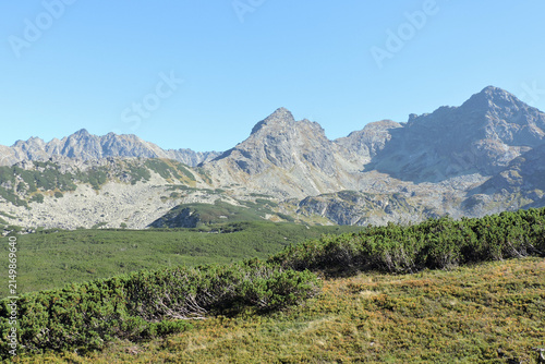 Panorama of Dolina Zielona Gąsienicowa valley with Koscielec and Swinica peaks in Tatra Mountains in September, Poland
