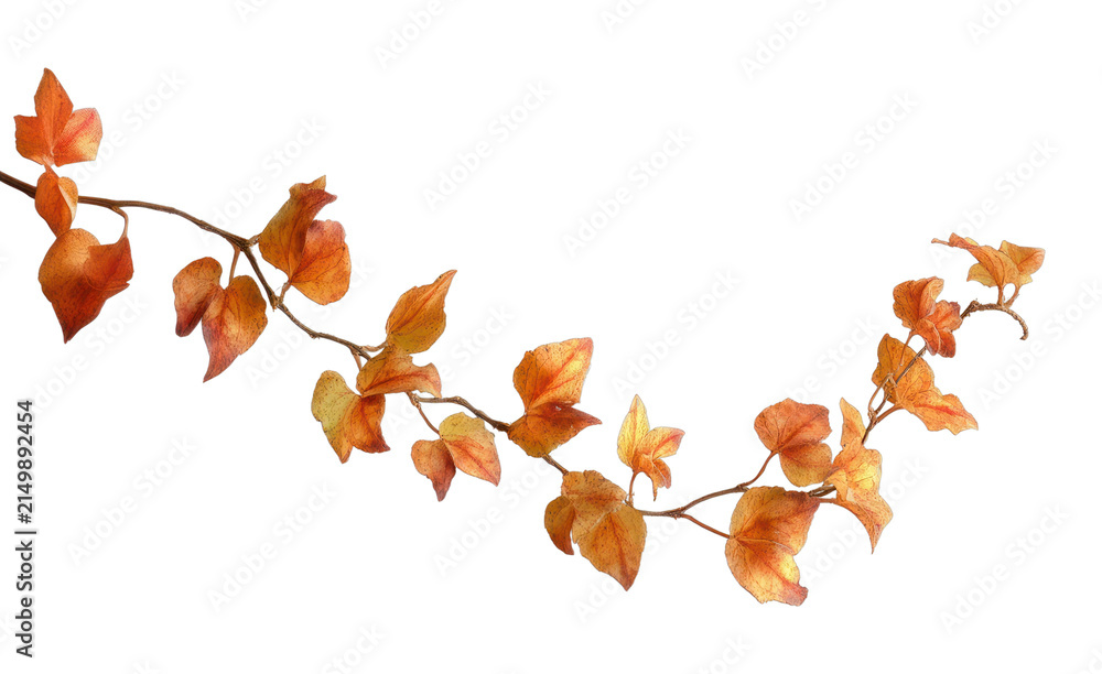 Fototapeta premium PNG Autumn leaf garland isolated on transparent background