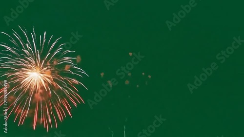 Bright colorful fireworks exploding in the dark night sky above