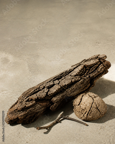 Gnarled tree bark with dry earth clod and bent twig, organic resilience and raw nature concept