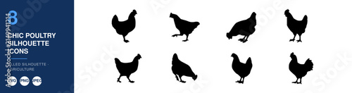 Chicken Icon Set of Chic Poultry Silhouettes for Nameplates, Branding, and Decorative Farm Kitchen Design