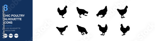 Chicken Silhouette Icon Set on White Background for Poultry Breed Identity and Farm-Themed Design Elements