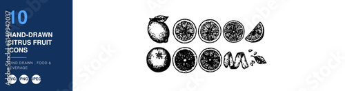 Citrus Fruits Icons Set Hand-Drawn in Black and White Vector Style for Food and Beverage Designs Featuring Handdrawn