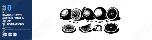 Citrus Fruit Slice Illustration Set, Hand-Drawn Ink Texture with Multiple Sliced Pieces and Segments on White Background