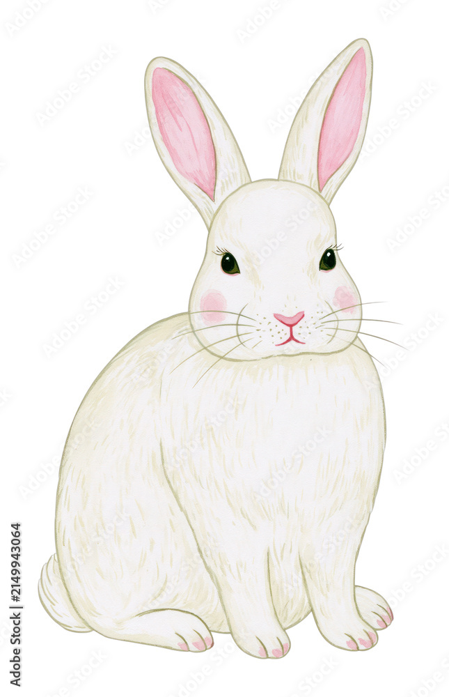 Fototapeta premium White rabbit illustration PNG on transparent background