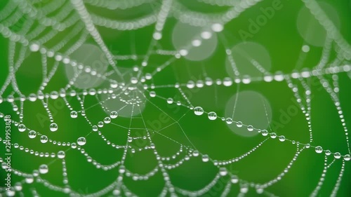Delicate dew drops on intricate spider web in morning light with bokeh background