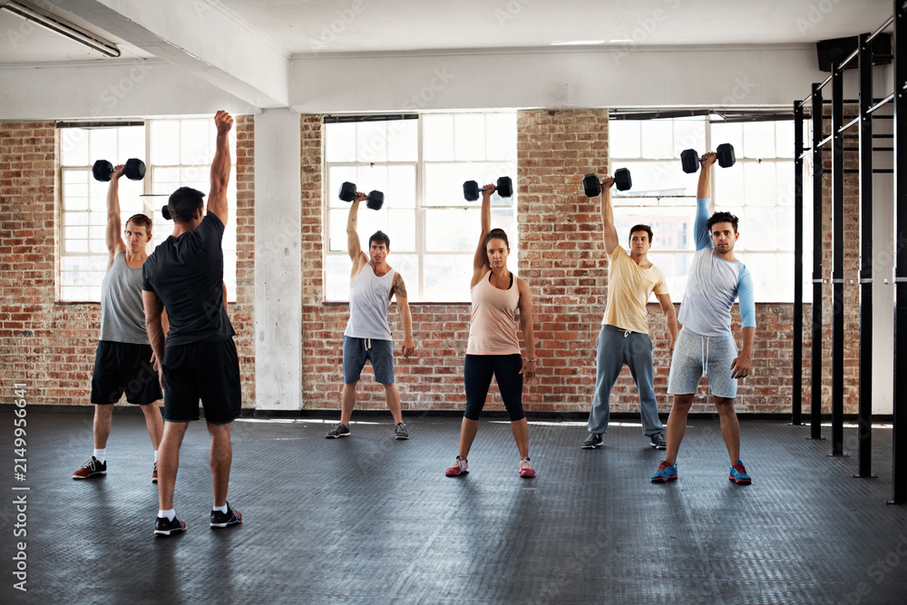 Fototapeta premium Dumbbell, coach and people at exercise class in gym for fitness, active with wellness in morning. Equipment, personal trainer and athletes with weights for arm workout or training in sports center.